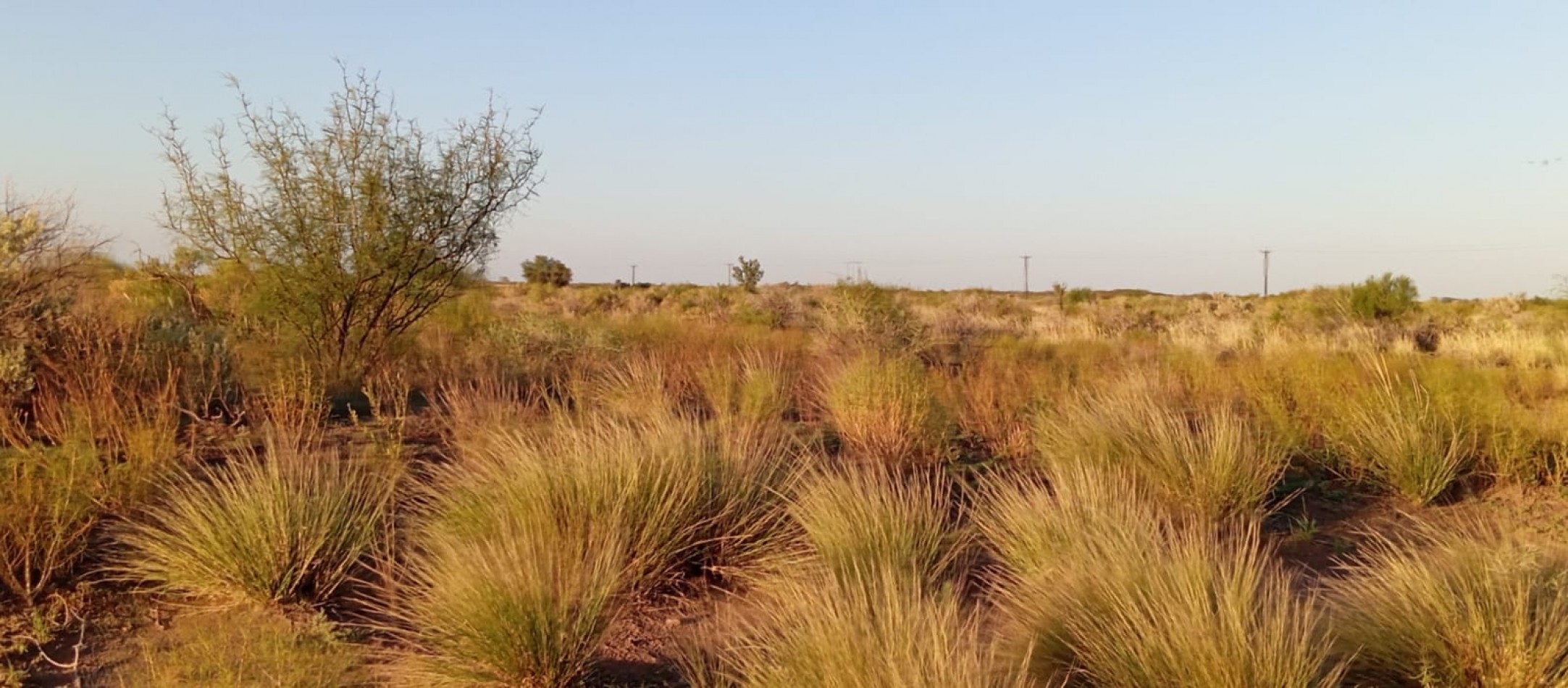 GREENWOOD TE OFRECE HERMOSA FINCA EN SANTA ROSA DE 400 HECTAREAS!