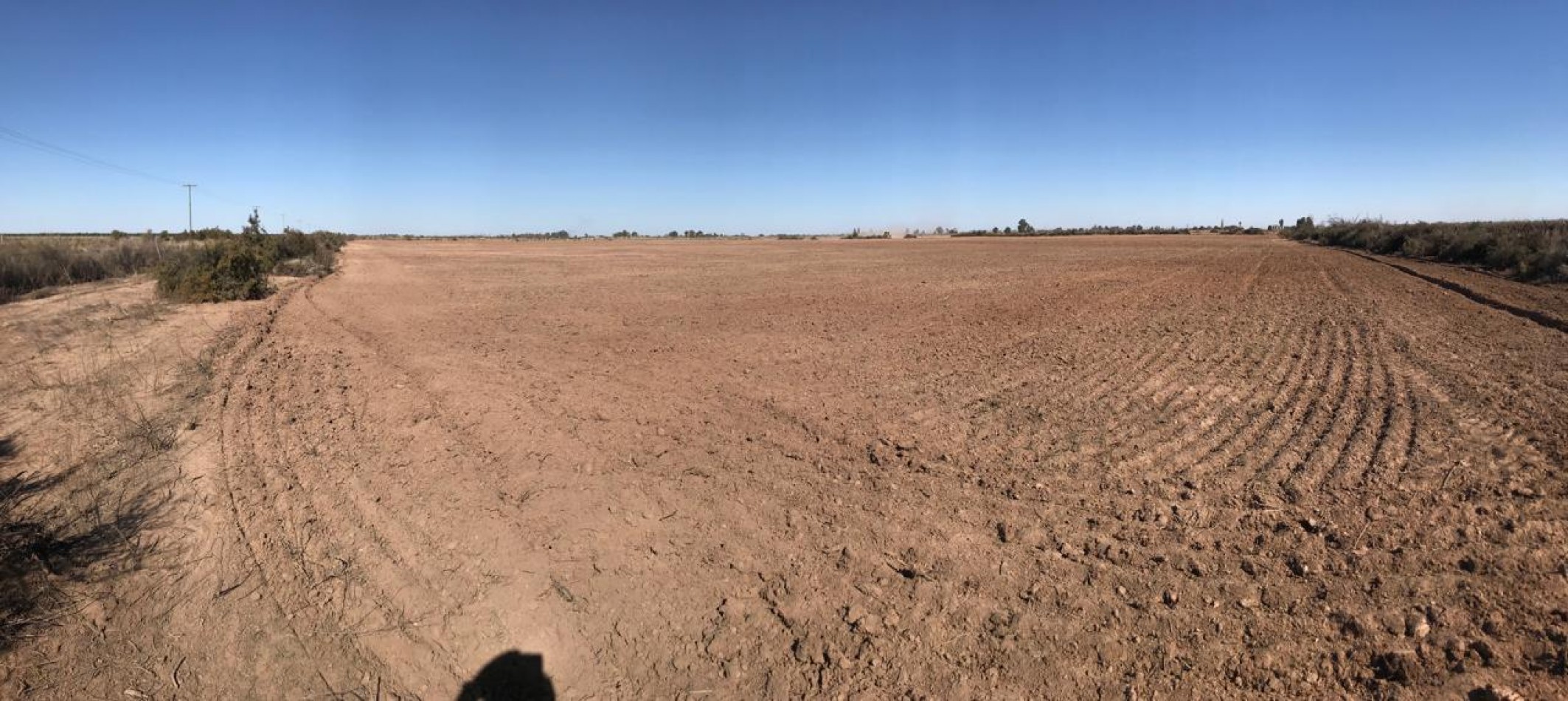 GREENWOOD INMOBILIARIA Presenta Finca Productiva de 24 Hectareas en la Prestigiosa Region de Jocoli