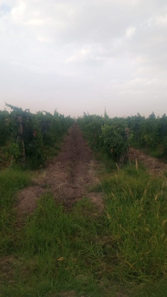 GREENWOOD INMOBILIARIA VENDE FINCA EN LAVALLE