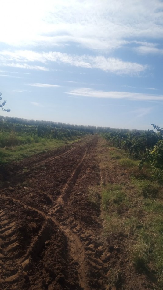 GREENWOOD INMOBILIARIA VENDE FINCA EN LAVALLE