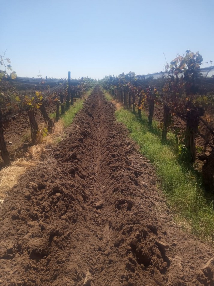 GREENWOOD INMOBILIARIA VENDE FINCA EN LAVALLE