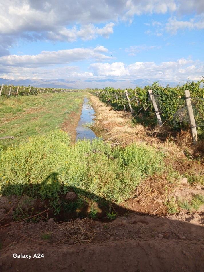 GREENWOOD INMOBILIARIA VENDE FINCA EN LAVALLE