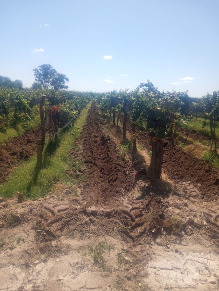 GREENWOOD INMOBILIARIA VENDE FINCA EN LAVALLE