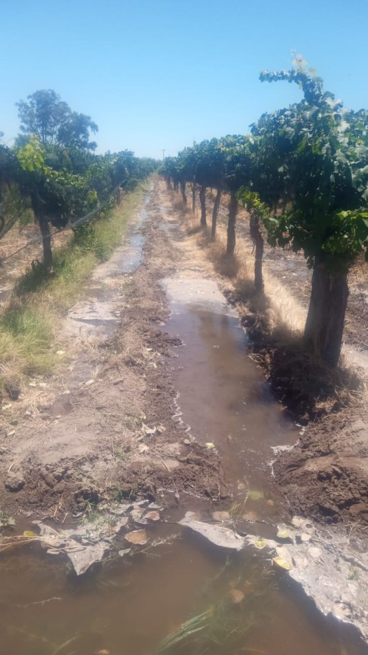 GREENWOOD INMOBILIARIA VENDE FINCA EN LAVALLE