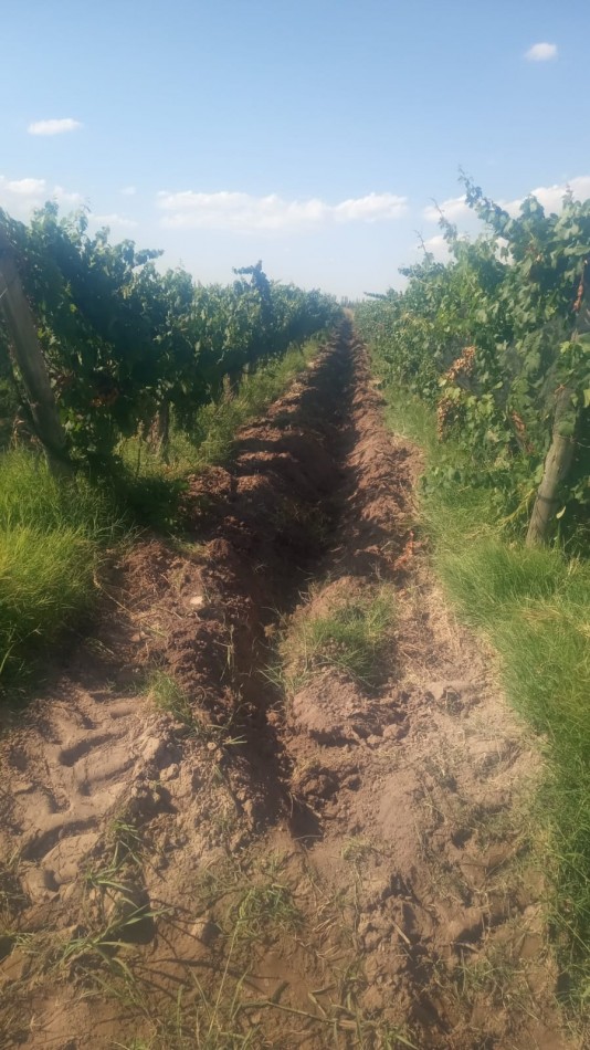 GREENWOOD INMOBILIARIA VENDE FINCA EN LAVALLE