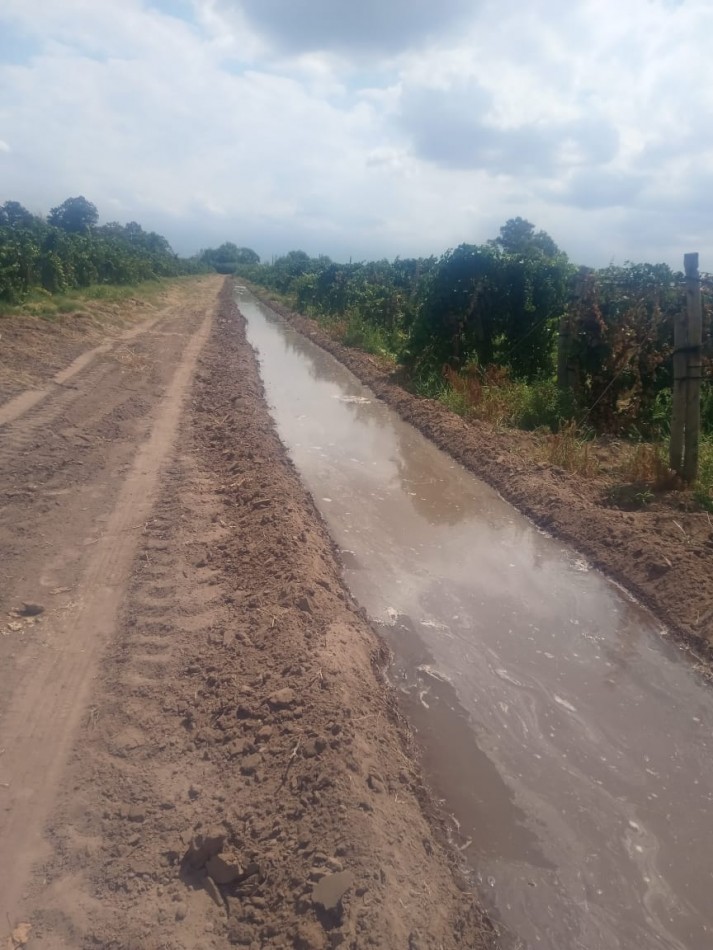 GREENWOOD INMOBILIARIA VENDE FINCA EN LAVALLE