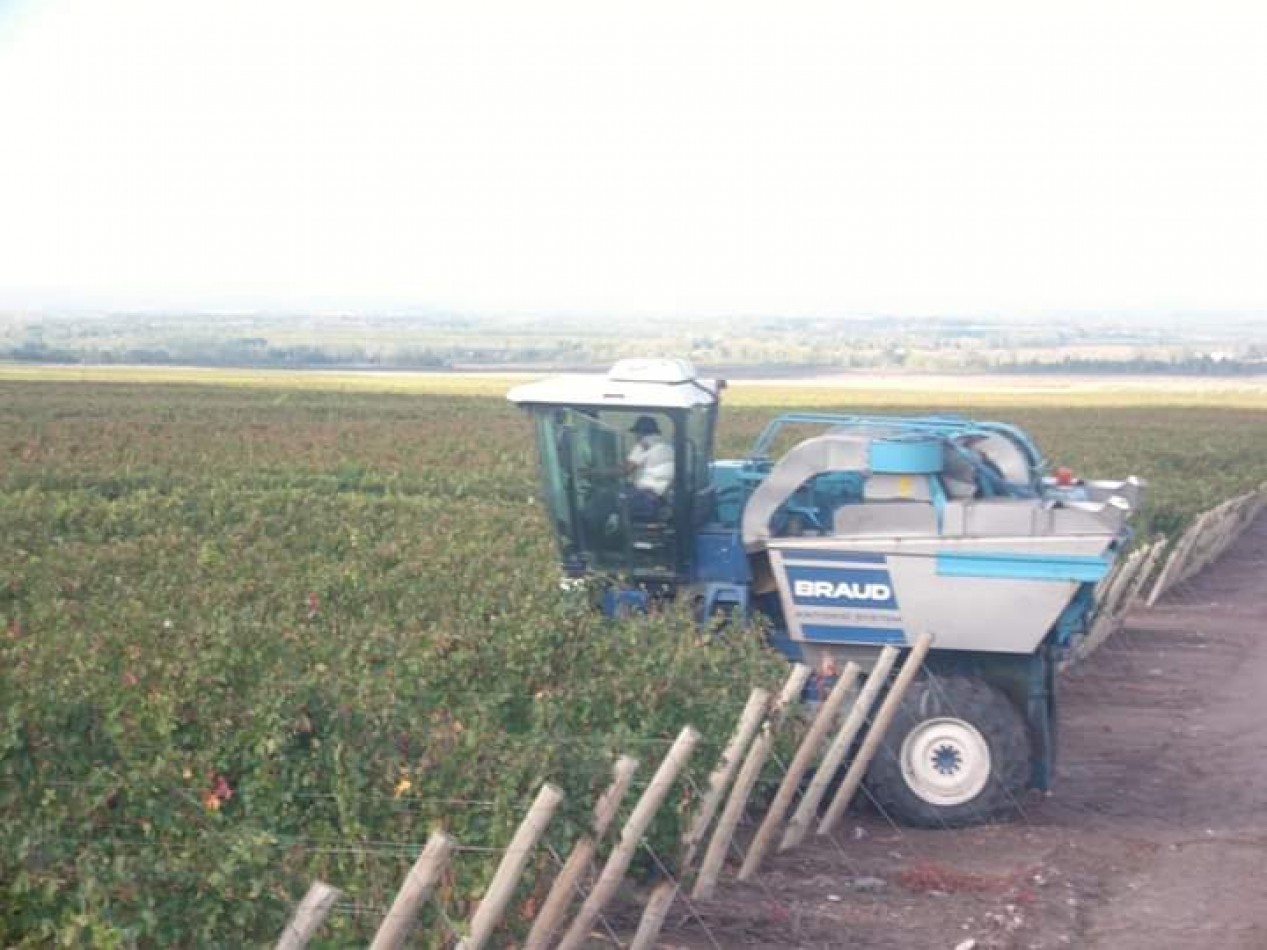 GREENWOOD INMOBILIARIA VENDE FINCA EN LAVALLE