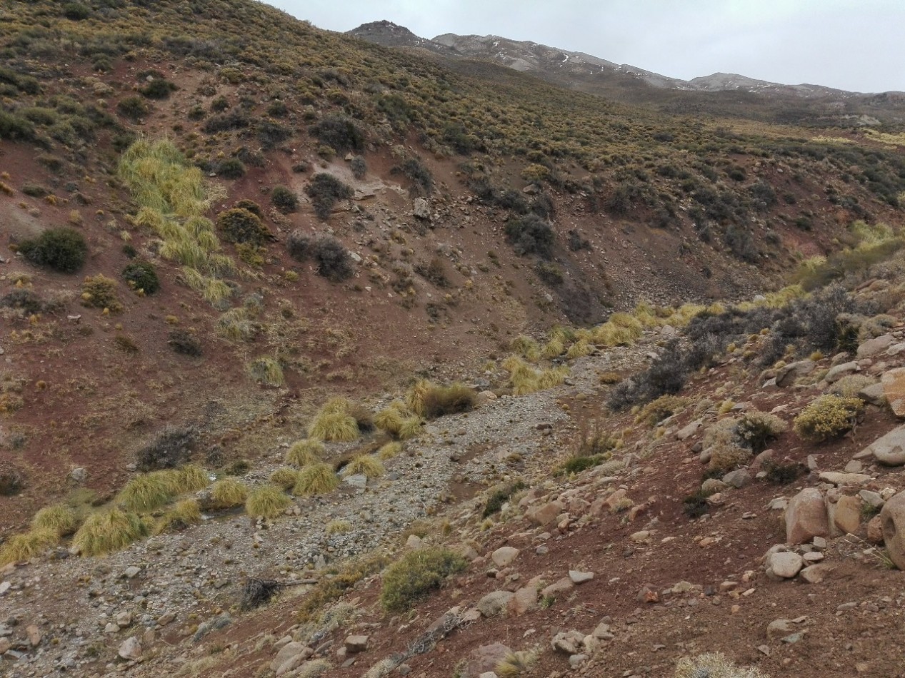 GREENWOOD INMOBILIARIA VENDE TERRENO A 15 MIN DE LAS LEÑAS.