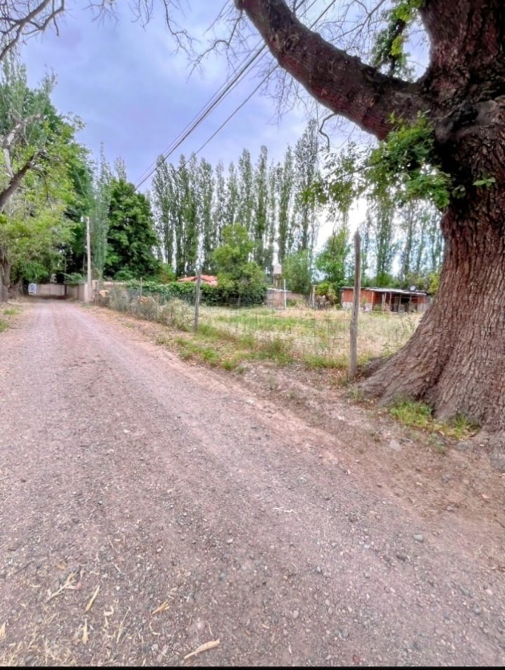 GREENWOOD INMOBILIARIA VENDE LOTE EN LUJAN DE CUYO