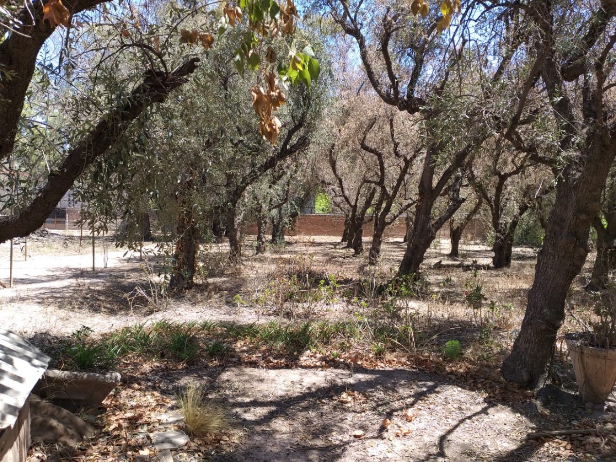 GREENWOOD INMOBILIARIA VENDE TERRENO EN GUAYMALLEN 