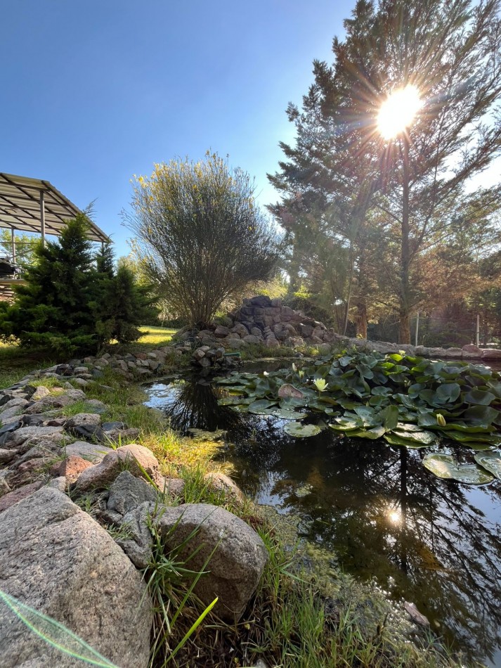 ¡GREENWOOD VENDE OPORTUNIDAD DE NEGOCIO RENTABLE!