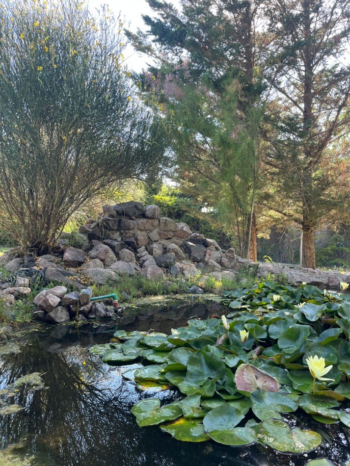 ¡GREENWOOD VENDE OPORTUNIDAD DE NEGOCIO RENTABLE!