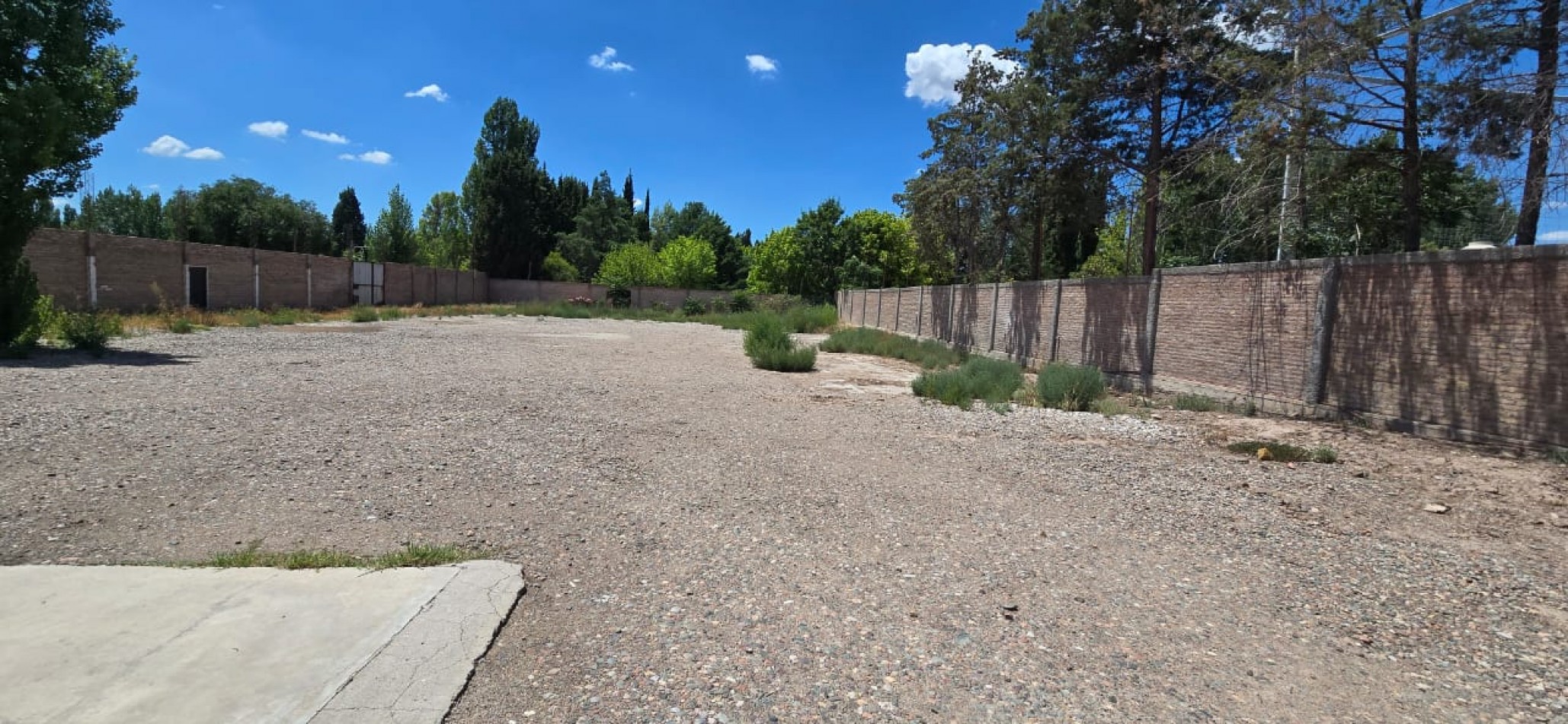 GREENWOOD INMOBILIARIA ALQUILA GALPON EN LUJAN DE CUYO 