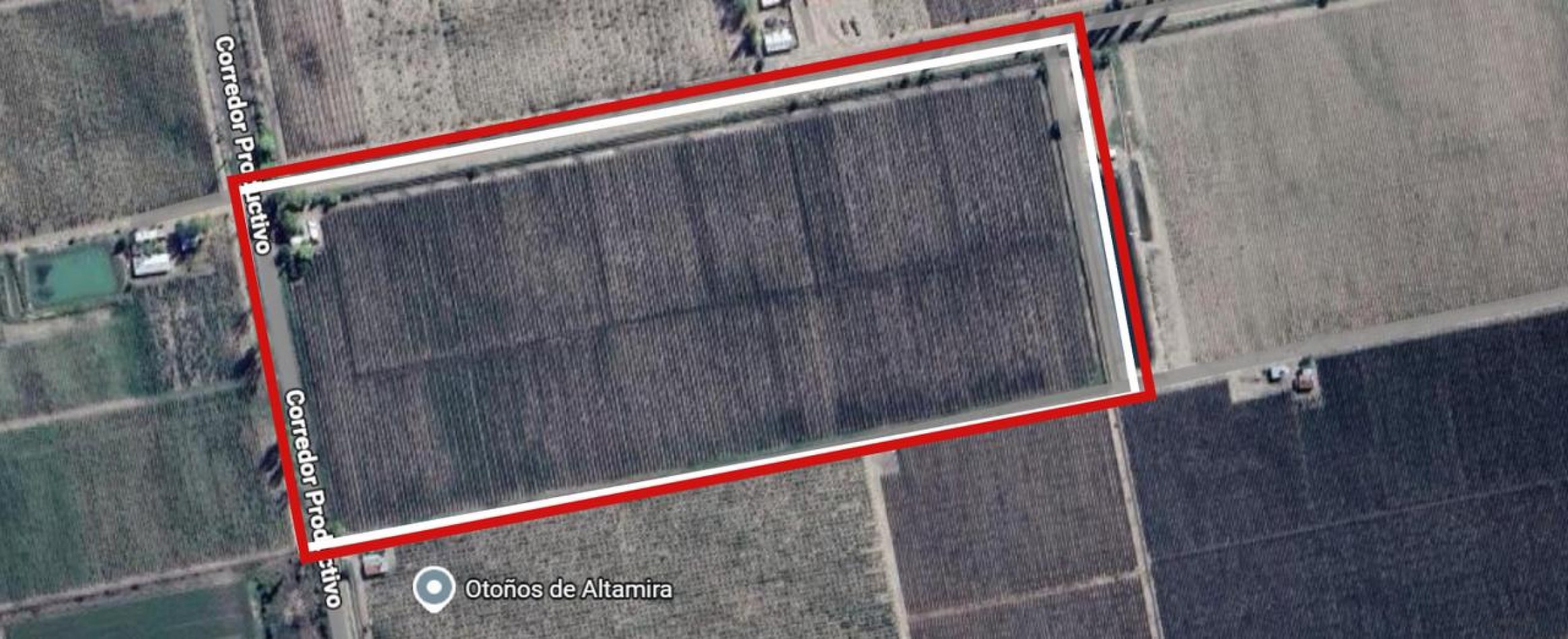 GREENWOOD INMOBILIARIA VENDE Oportunidad de inversion vitivinicola en Eugenio Bustos - San Carlos, Mendoza