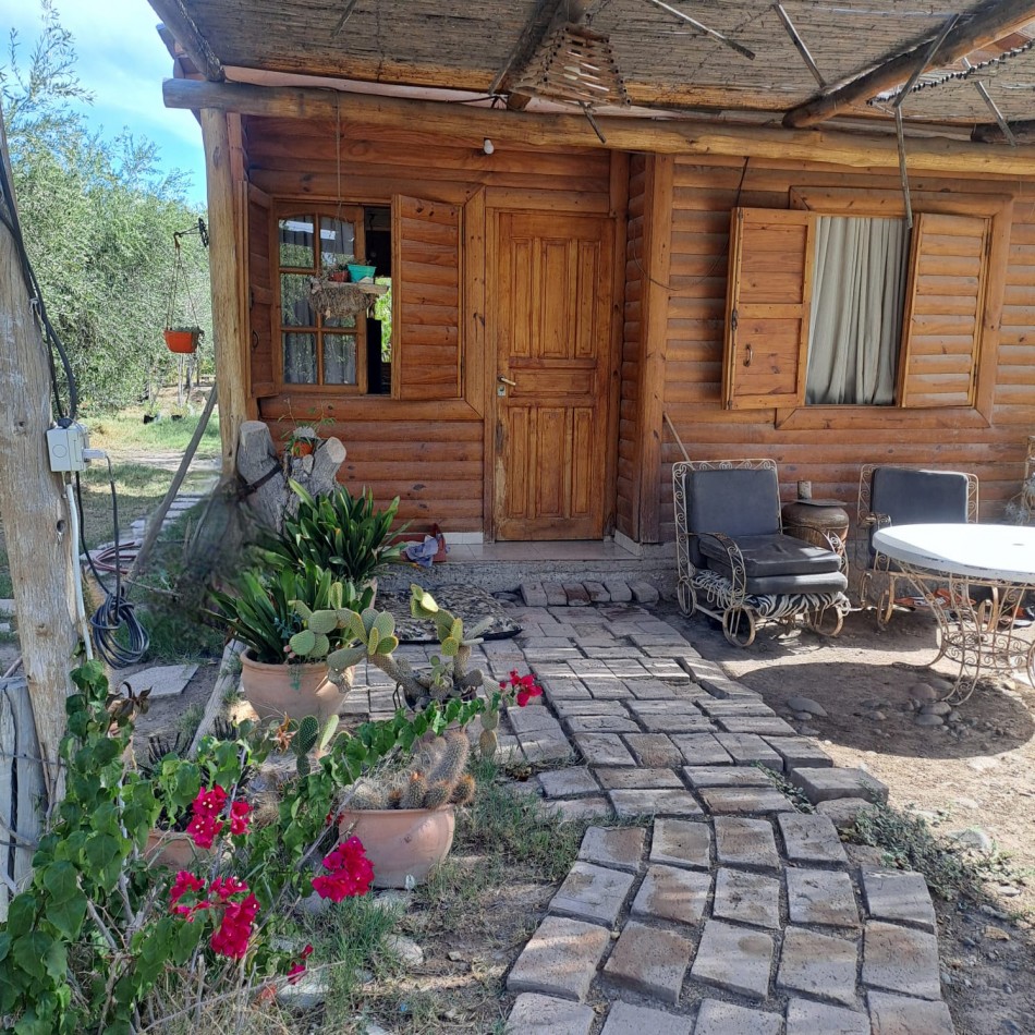 VENTA DE CASA CON TERRENO CULTIVADO EN MAIPU