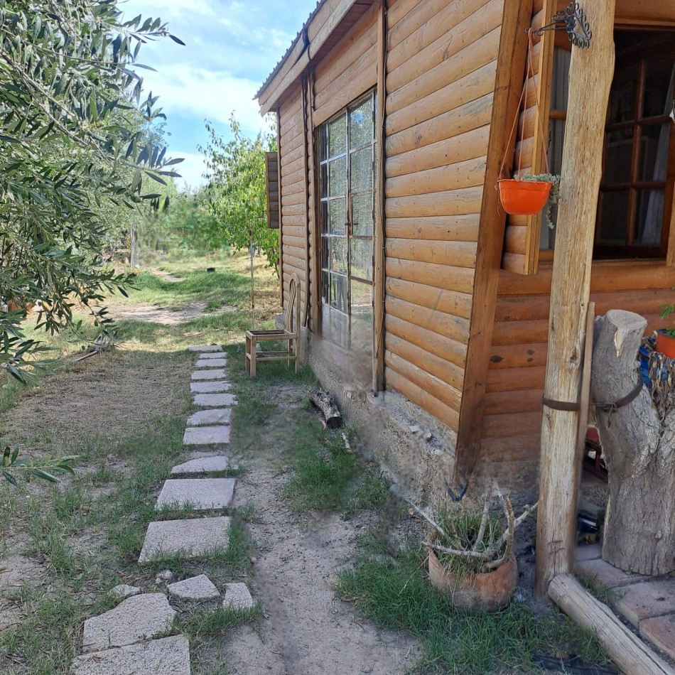 VENTA DE CASA CON TERRENO CULTIVADO EN MAIPU