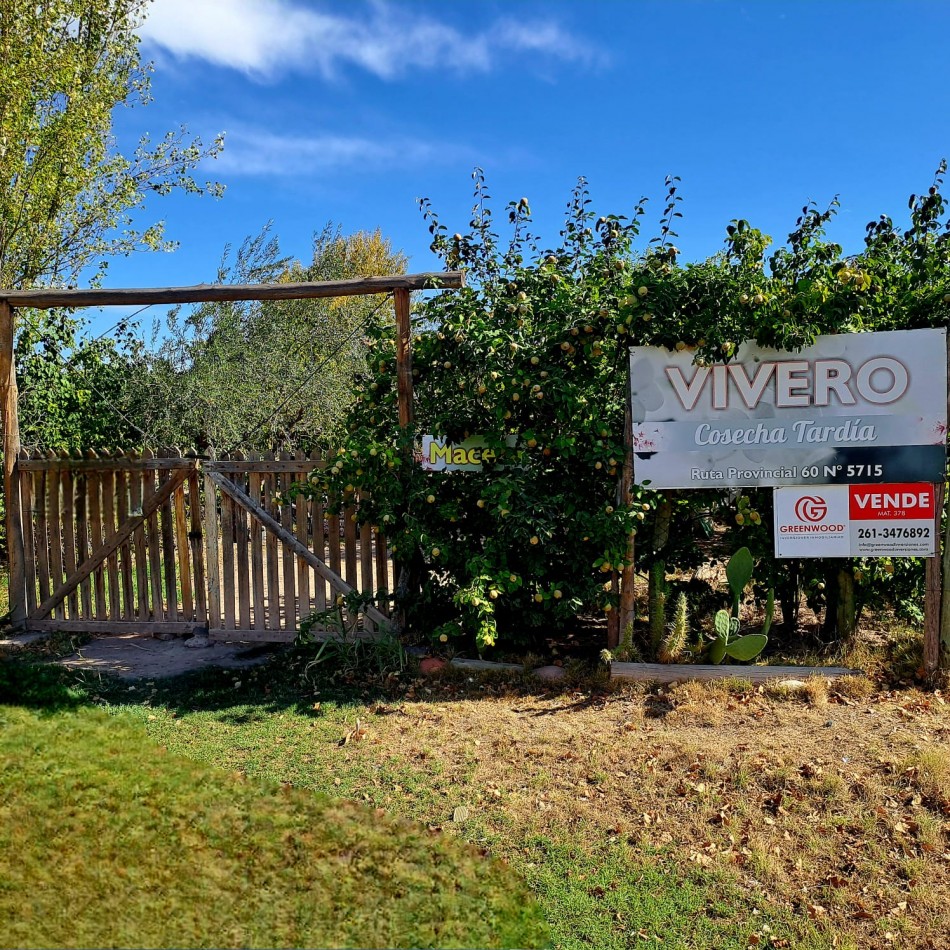 VENTA DE CASA CON TERRENO CULTIVADO EN MAIPU