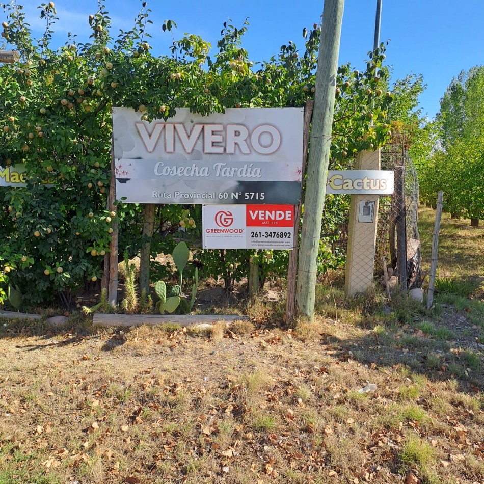 VENTA DE CASA CON TERRENO CULTIVADO EN MAIPU
