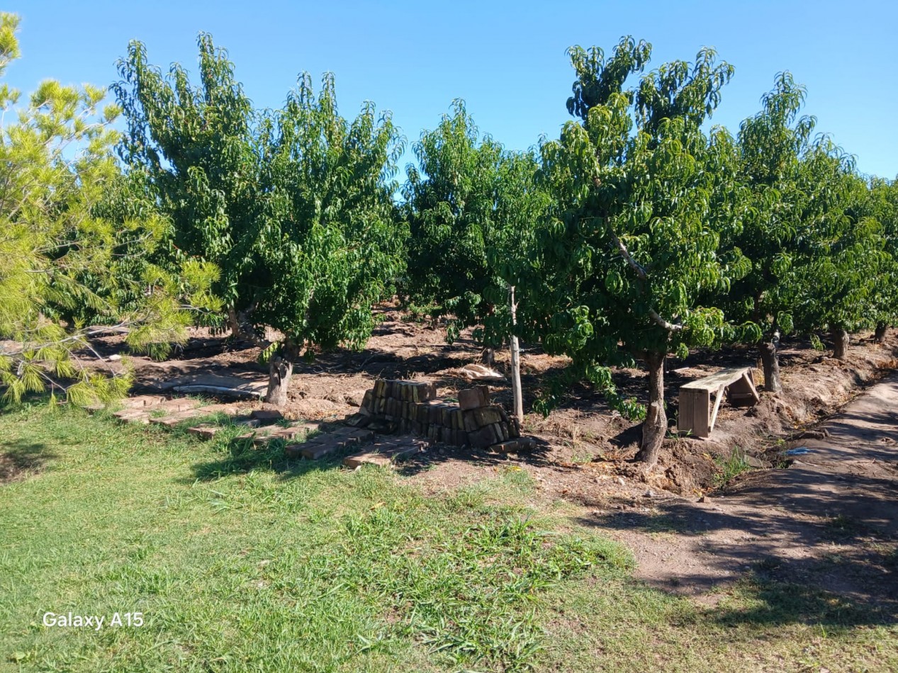 GREENWOOD INMOBILIARIA VENDE FINCA EN RUTA 60