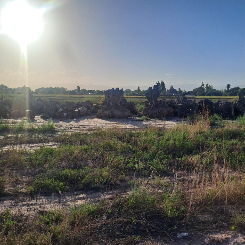 GREENWOOD INMOBILIARIA VENDE IMPORTANTE TERRENO EN LA ZONA DE MAIPU MENDOZA