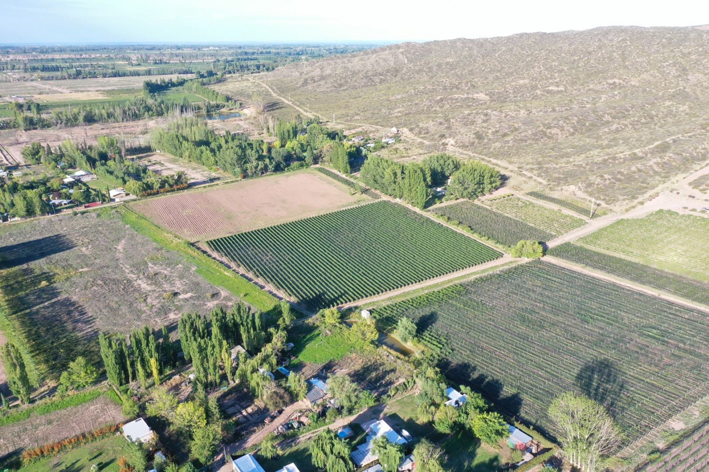 GREENWOOD INMOBILIARIA VENDE LOTE EN PERDRIEL