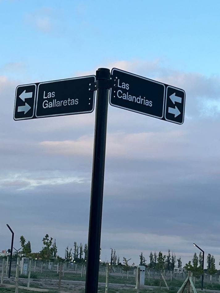 GREENWOOD INMOBILIARIA VENDE EXCELENTE LOTE EN EL BARRIO PRIVADO QVATTRO DE CHACRAS DE CORIA, LUJAN DE CUYO! 