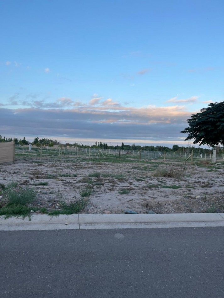 GREENWOOD INMOBILIARIA VENDE EXCELENTE LOTE EN EL BARRIO PRIVADO QVATTRO DE CHACRAS DE CORIA, LUJAN DE CUYO! 