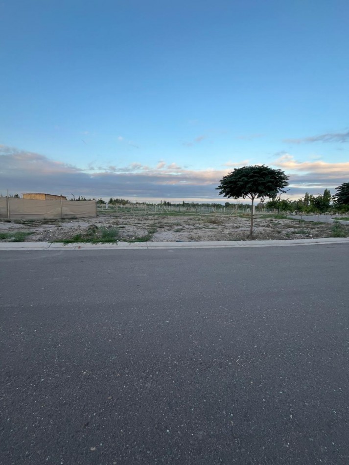 GREENWOOD INMOBILIARIA VENDE EXCELENTE LOTE EN EL BARRIO PRIVADO QVATTRO DE CHACRAS DE CORIA, LUJAN DE CUYO! 