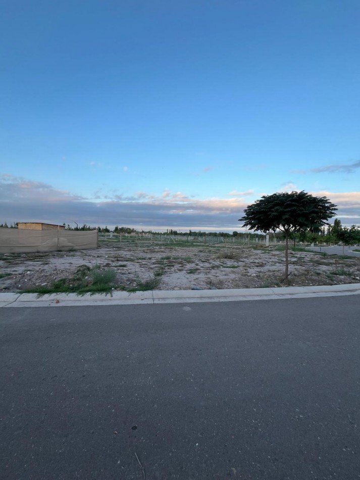 GREENWOOD INMOBILIARIA VENDE EXCELENTE LOTE EN EL BARRIO PRIVADO QVATTRO DE CHACRAS DE CORIA, LUJAN DE CUYO! 