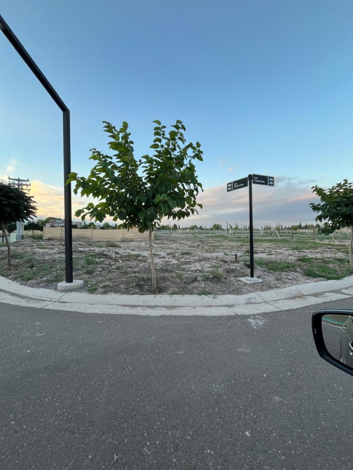 GREENWOOD INMOBILIARIA VENDE EXCELENTE LOTE EN EL BARRIO PRIVADO QVATTRO DE CHACRAS DE CORIA, LUJAN DE CUYO! 