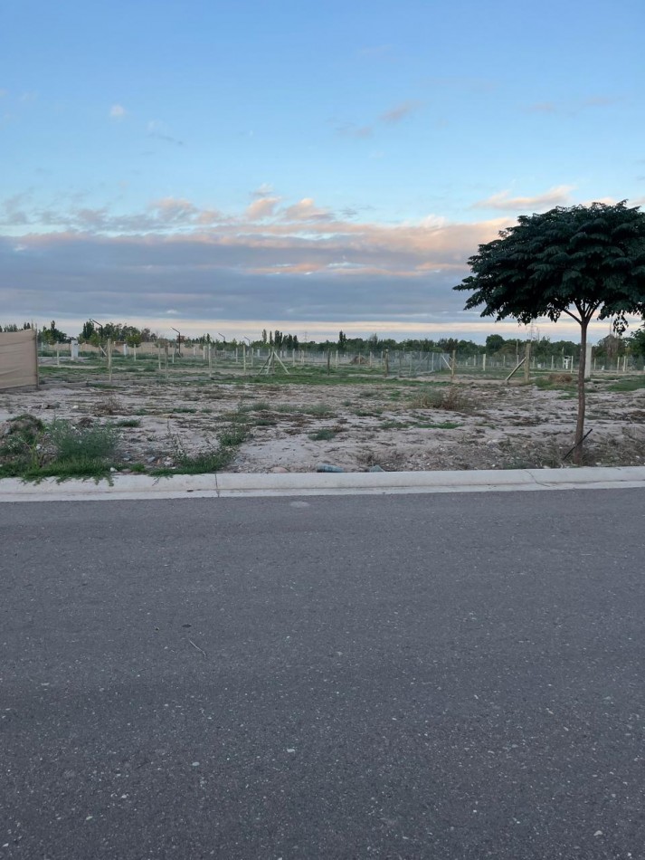 GREENWOOD INMOBILIARIA VENDE EXCELENTE LOTE EN EL BARRIO PRIVADO QVATTRO DE CHACRAS DE CORIA, LUJAN DE CUYO! 