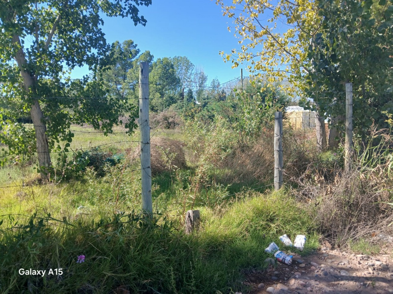 GREENWOOD INMOBILIARIA VENDE TERRENO EN LUJAN DE CUYO, PERDRIEL