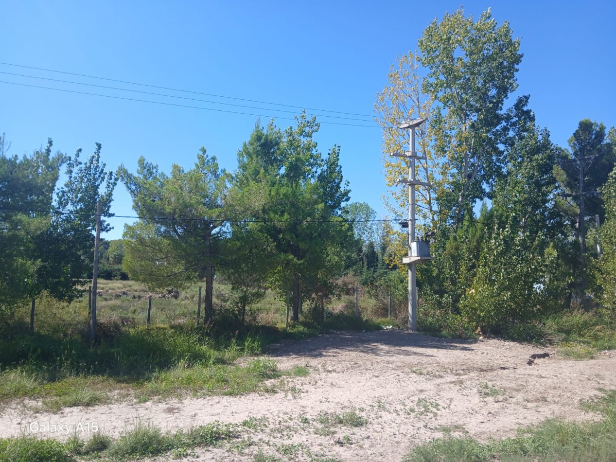 GREENWOOD INMOBILIARIA VENDE TERRENO EN LUJAN DE CUYO, PERDRIEL