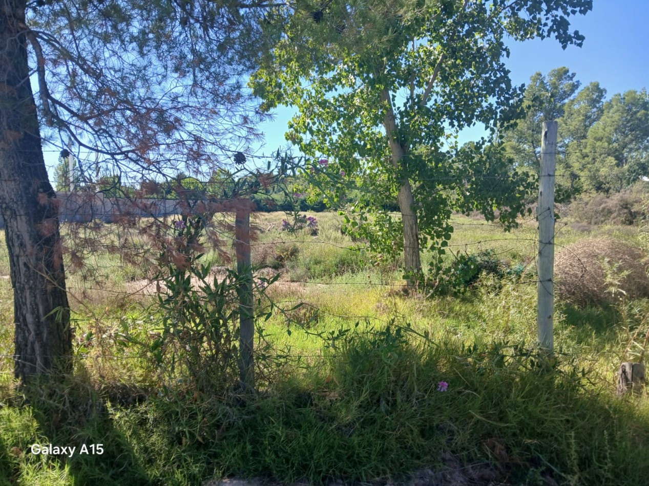 GREENWOOD INMOBILIARIA VENDE TERRENO EN LUJAN DE CUYO, PERDRIEL