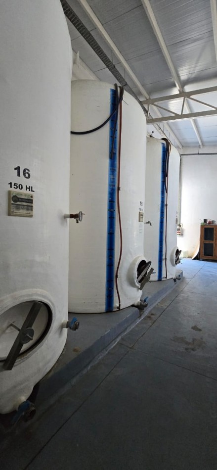 GREENWOOD INMOBILIARIA VENDE HERMOSA BODEGA