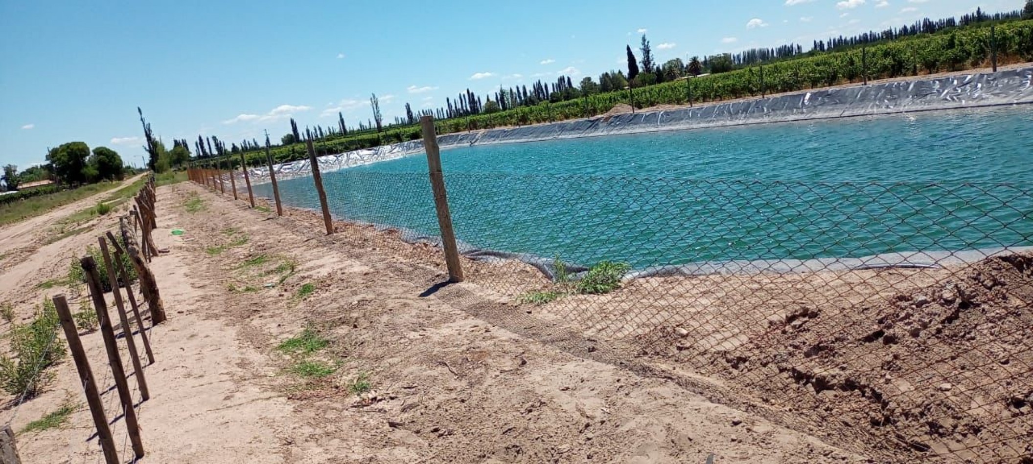 GREENWOOD INMOBILIARIA VENDE EXCELENTE FINCA EN SAN RAFAEL, MENDOZA! 