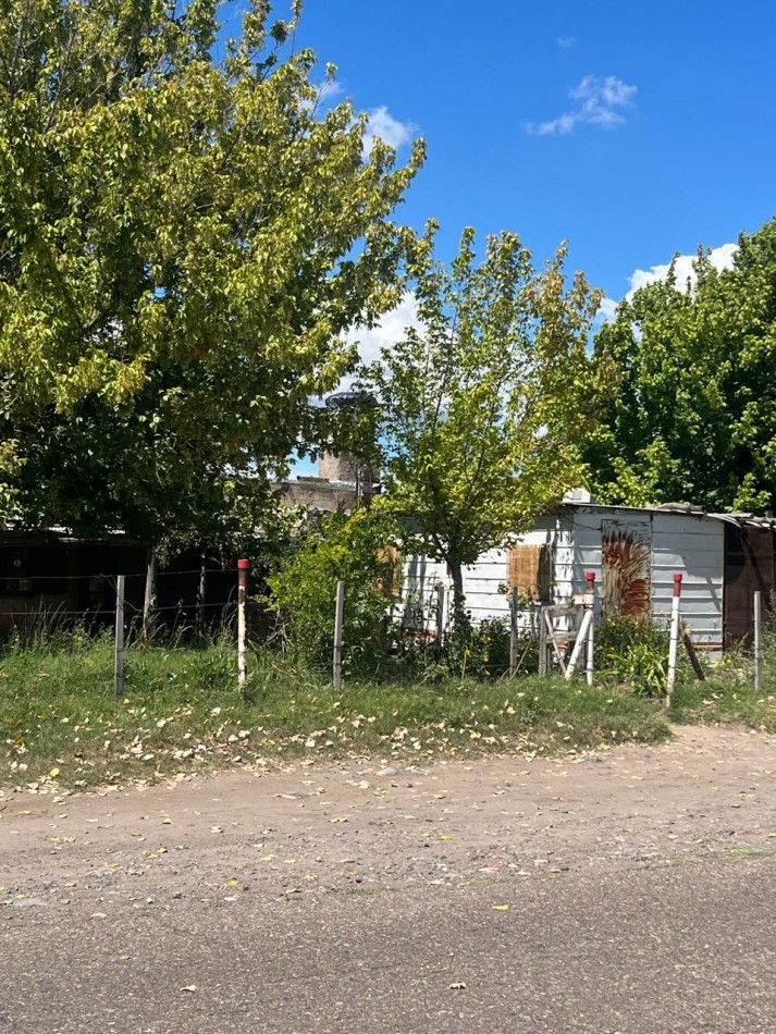 GREENWOOD INMOBILIARIA VENDE Oportunidad de inversion vitivinicola en Eugenio Bustos - San Carlos, Mendoza