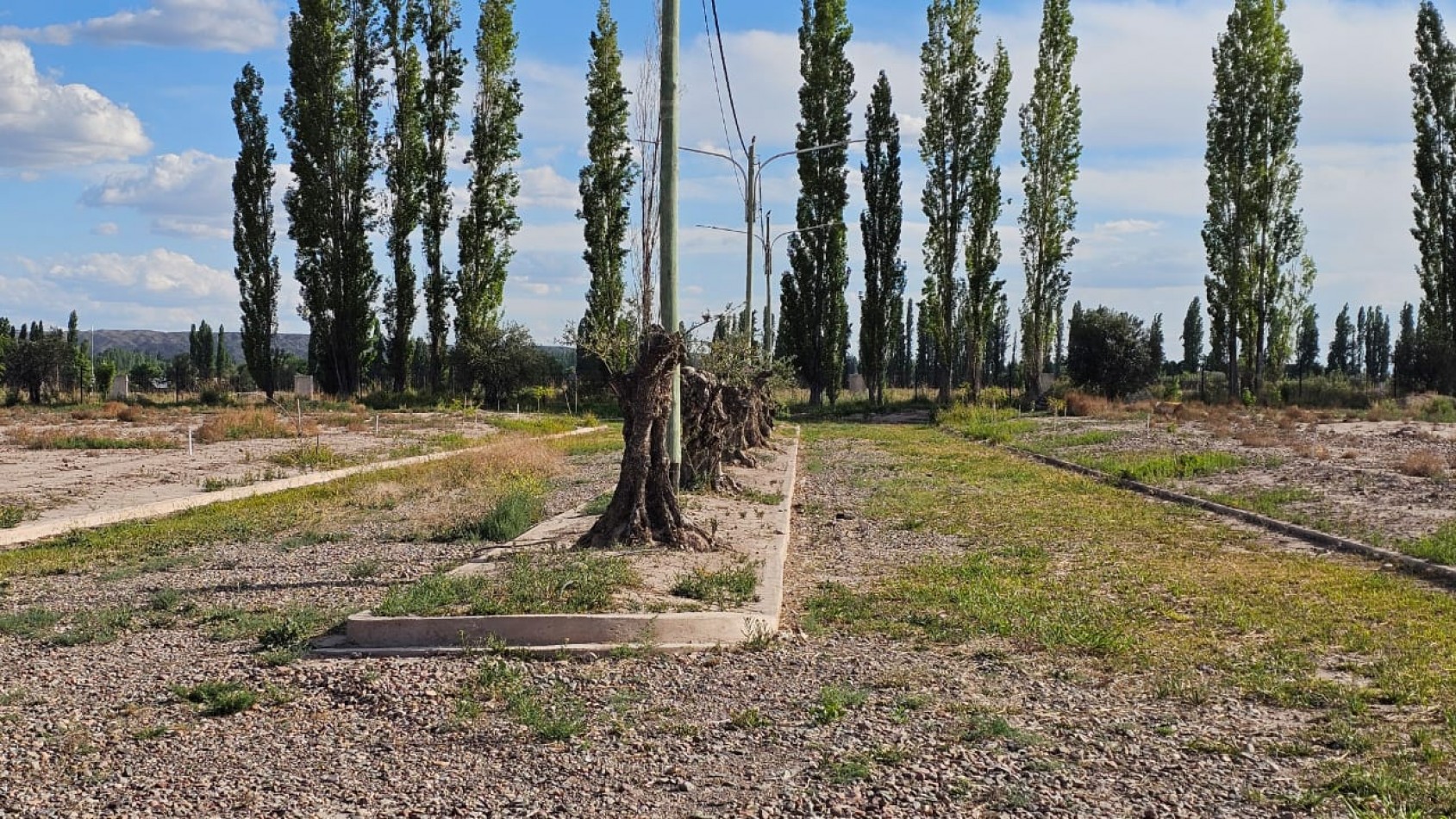 GREENWOOD INMOBILIARIA TE OFRECE LOTE EN VENTA LUJAN DE CUYO: