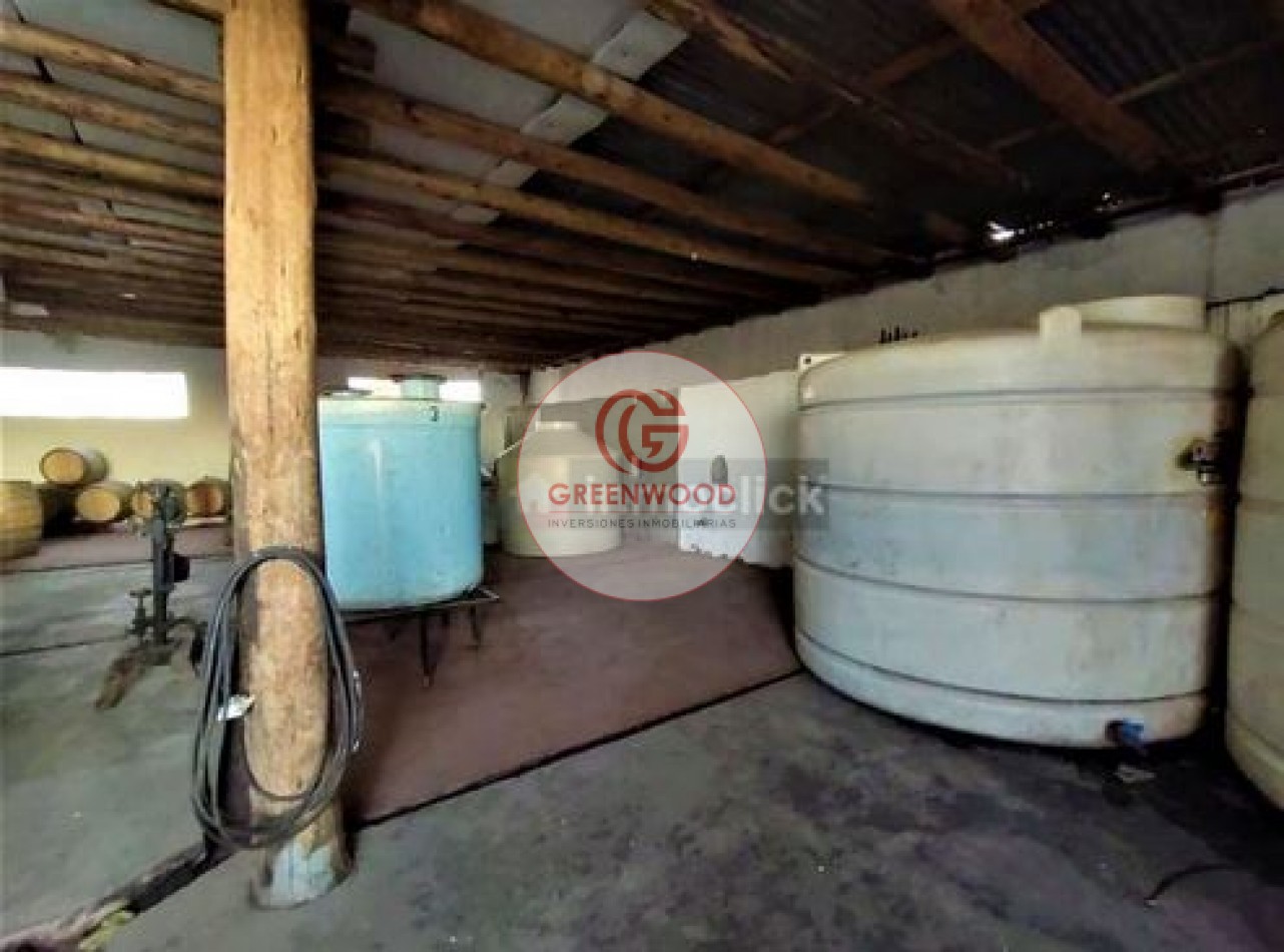 GREENWOOD VENDE FABULOSA FINCA CON VIÑEDO, CASA Y PEQUEÑA BODEGA ARTESANAL EN SAN RAFAEL