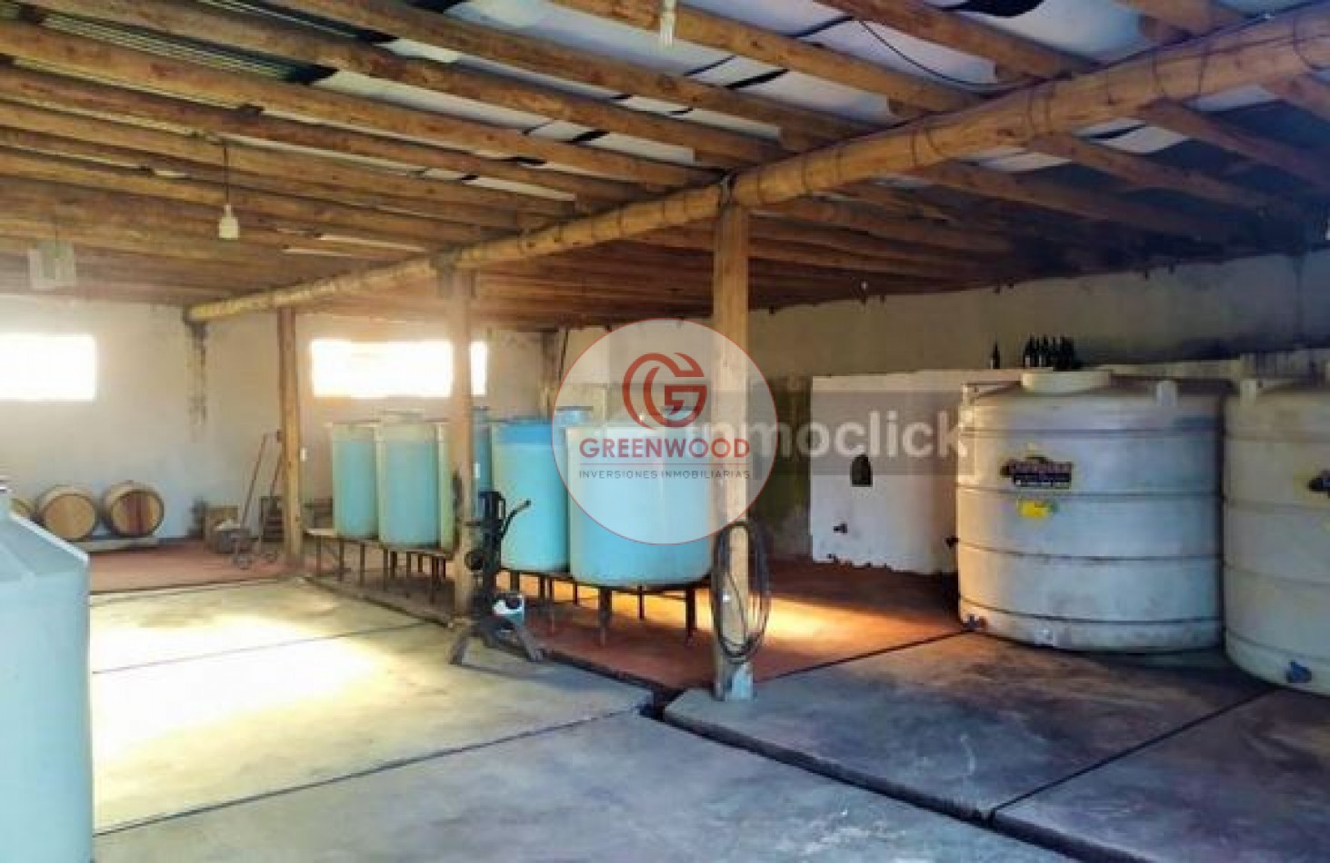 GREENWOOD VENDE FABULOSA FINCA CON VIÑEDO, CASA Y PEQUEÑA BODEGA ARTESANAL EN SAN RAFAEL