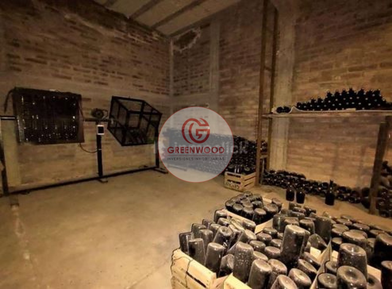 GREENWOOD VENDE FABULOSA FINCA CON VIÑEDO, CASA Y PEQUEÑA BODEGA ARTESANAL EN SAN RAFAEL