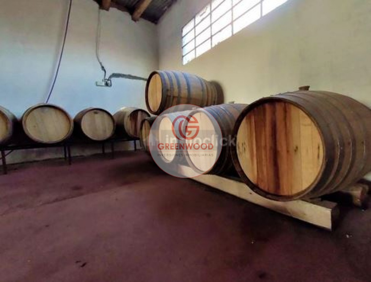 GREENWOOD VENDE FABULOSA FINCA CON VIÑEDO, CASA Y PEQUEÑA BODEGA ARTESANAL EN SAN RAFAEL