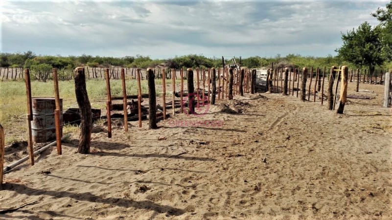 GREENWOOD VENDE CAMPO GANADERO EN SAN RAFAEL DE 5522Ha. 