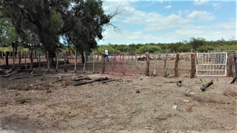 GREENWOOD VENDE CAMPO GANADERO EN SAN RAFAEL DE 5522Ha. 