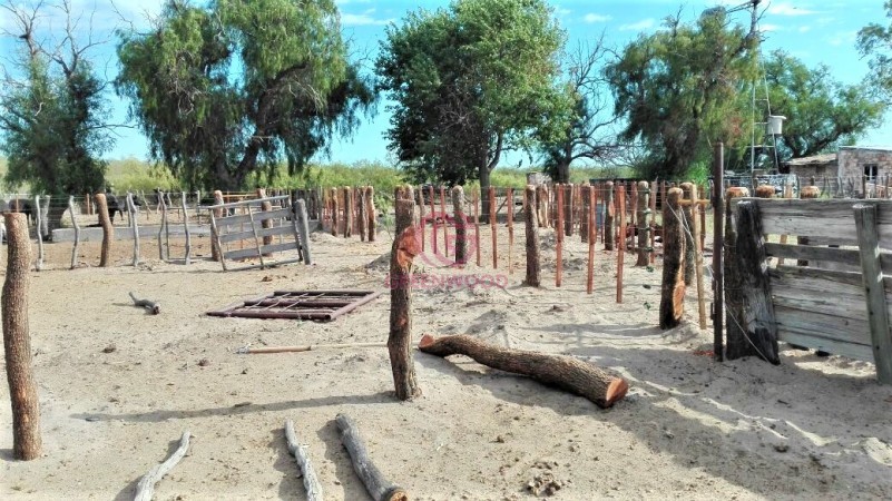 GREENWOOD VENDE CAMPO GANADERO EN SAN RAFAEL DE 5522Ha. 