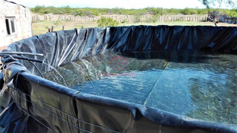 GREENWOOD VENDE CAMPO GANADERO EN SAN RAFAEL DE 5522Ha. 