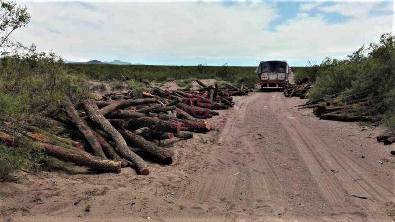 GREENWOOD VENDE CAMPO GANADERO EN SAN RAFAEL DE 5522Ha. 
