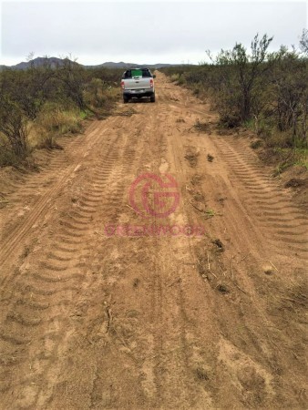 GREENWOOD VENDE CAMPO GANADERO EN SAN RAFAEL DE 5522Ha. 
