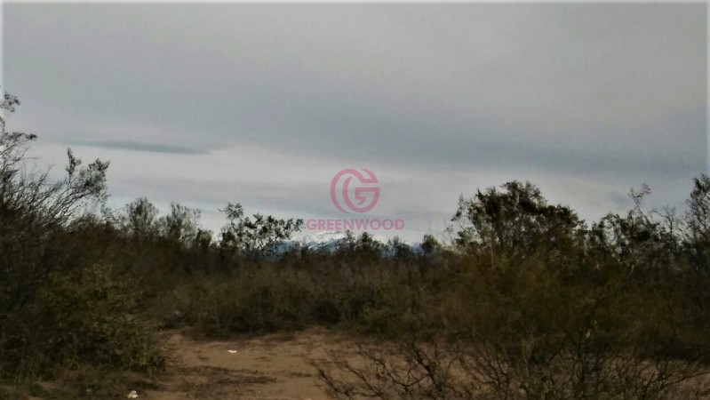 GREENWOOD VENDE CAMPO GANADERO EN SAN RAFAEL DE 5522Ha. 
