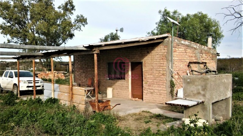 GREENWOOD VENDE CAMPO GANADERO EN SAN RAFAEL DE 5522Ha. 